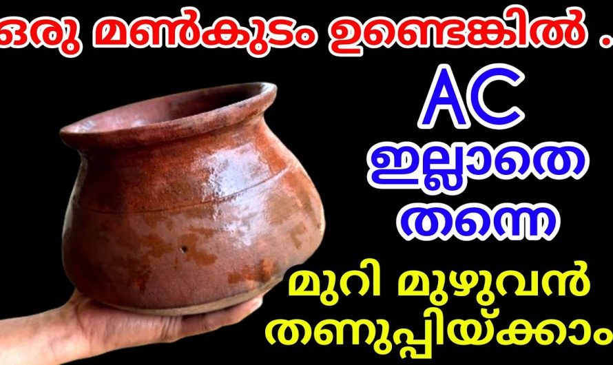 എത്ര ചൂട് കൂടിയാലും എസിയുടെ പോലെ തണുപ്പ് ലഭിക്കാൻ കിടിലൻ വഴി…