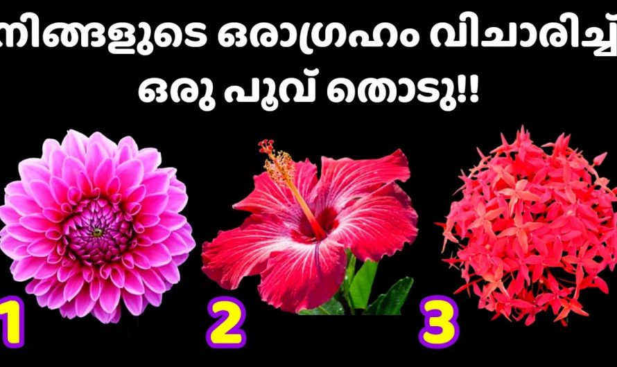 നിങ്ങളുടെ ജീവിതത്തെയും ആഗ്രഹങ്ങളെയും സ്വപ്നങ്ങളെയും പ്രതീക്ഷകളെയും അറിയുന്നതിന്.