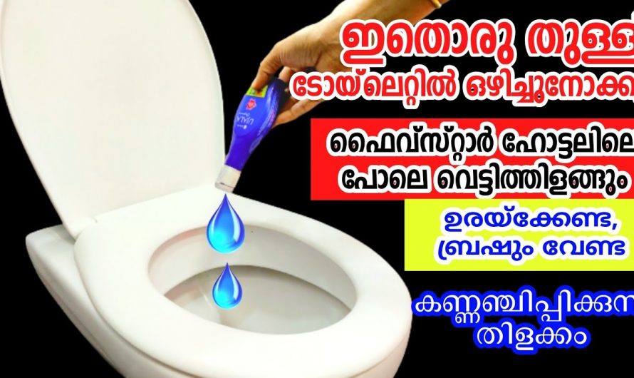 വസ്ത്രങ്ങൾക്കും നിറം നൽകുന്നതിന് മാത്രമല്ല ഞെട്ടിക്കും ഉപയോഗം ഉജാല കൊണ്ട്…