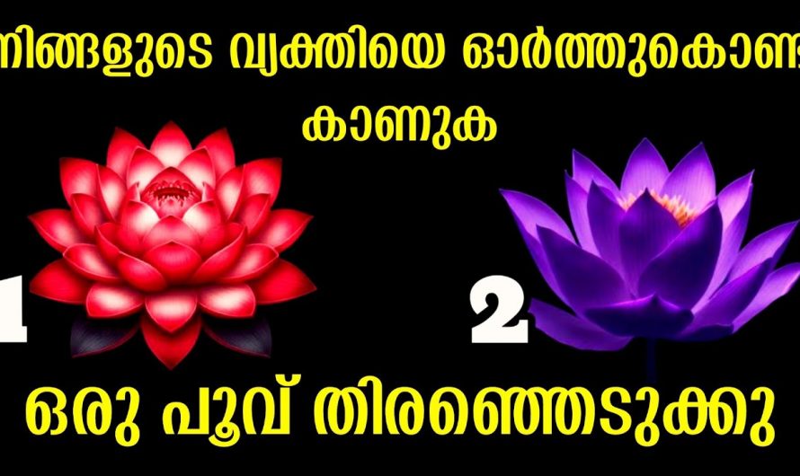 നിങ്ങൾ ഇഷ്ടപ്പെടുന്ന വ്യക്തിയെ കുറിച്ച് കൂടുതൽ അറിയാൻ …
