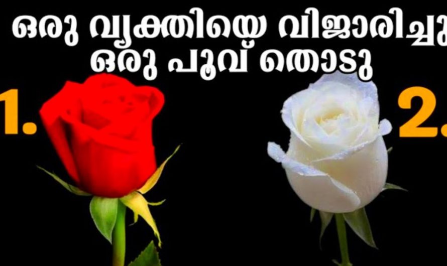നിങ്ങളുടെ ഇഷ്ട വ്യക്തിക്ക് നിങ്ങളോടുള്ള സ്നേഹത്തെക്കുറിച്ച് അറിയണമോ…