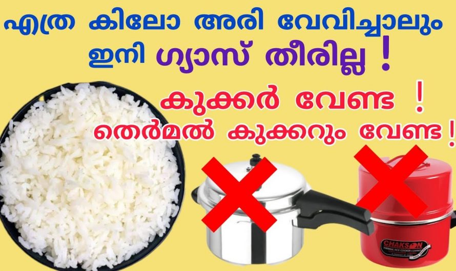 ഗ്യാസ് അടുപ്പ് ഉപയോഗിക്കുന്നവർ ഈ ഒരു കാര്യം ശ്രദ്ധിച്ചാൽ ഇരട്ടി ഗുണം..