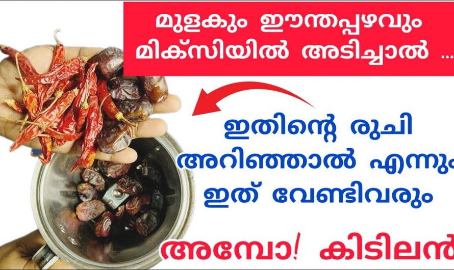 ഇത് കഴിച്ചവർ വീണ്ടും വേണമെന്ന് പറയും അത്രയ്ക്കും സൂപ്പർ..