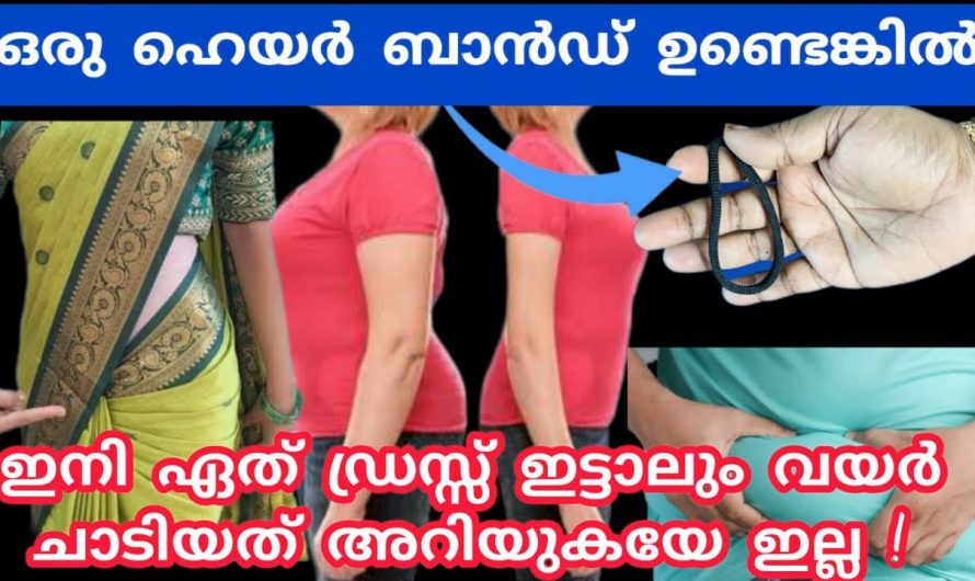 ഏതുതരം വസ്ത്രങ്ങൾ ആയാലും ശരീരത്തിന് നല്ല ഷേപ്പും ഭംഗിയും ലഭിക്കാൻ…