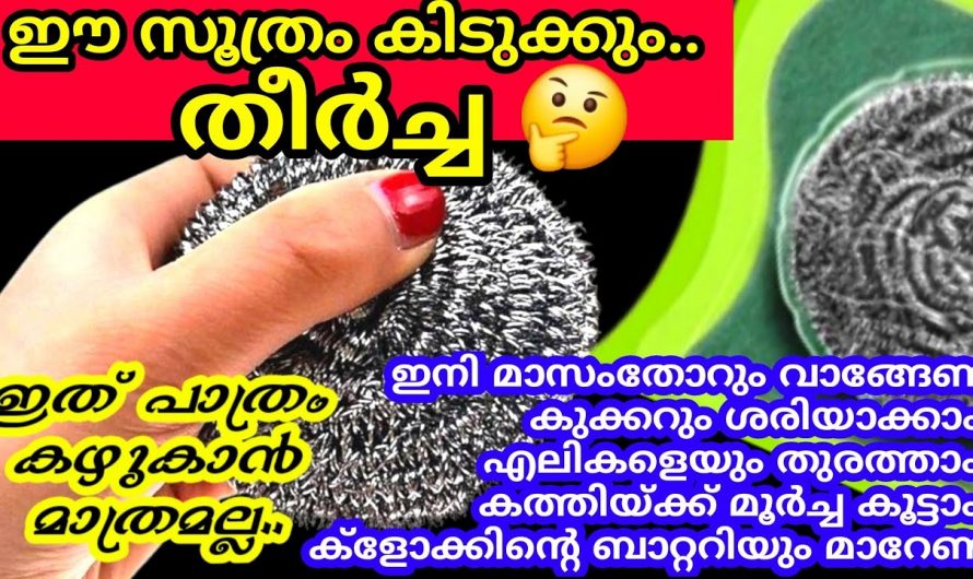 സ്റ്റീൽ സ്ക്രബ്ബർ ഉണ്ടെങ്കിൽ ഞെട്ടിക്കുന്ന ഉപയോഗങ്ങൾ…
